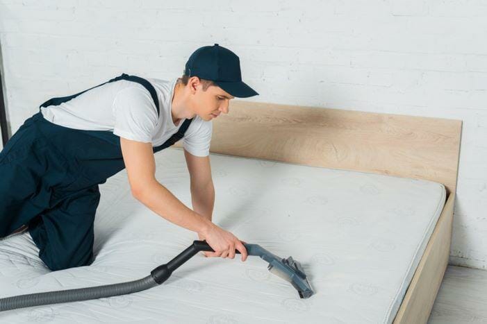 Understanding The Importance Of Professional Bed Bug Services